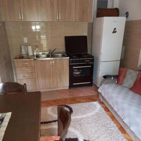 Apartman Vukica Διαμέρισμα Τρέμπινιε Εξωτερικό φωτογραφία